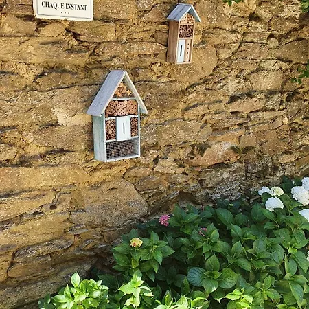 La Ferme Des Andes Oda ve Kahvaltı Quins