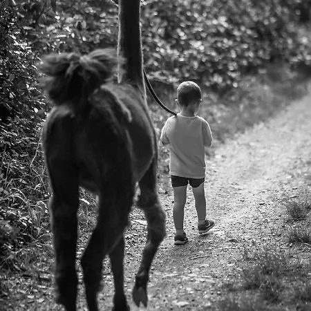 Oda ve Kahvaltı La Ferme Des Andes Quins