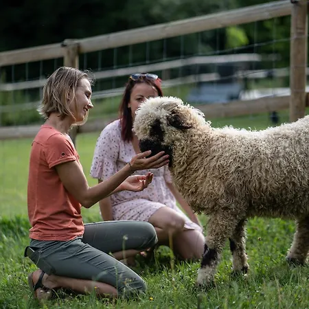 La Ferme Des Andes Quins
