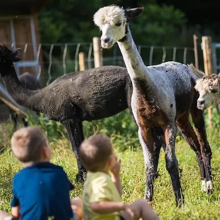 La Ferme Des Andes Oda ve Kahvaltı Quins