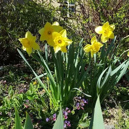 La Ferme Des Andes Oda ve Kahvaltı 3*