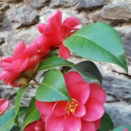 La Ferme Des Andes 3*