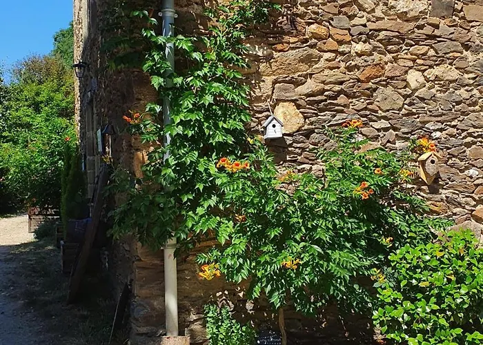 Bed and Breakfast La Ferme Des Andes