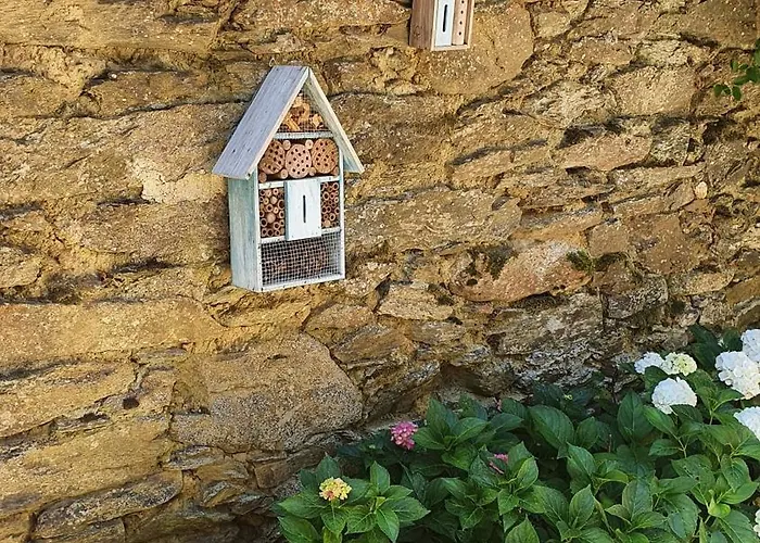 La Ferme Des Andes Bed and Breakfast Quins
