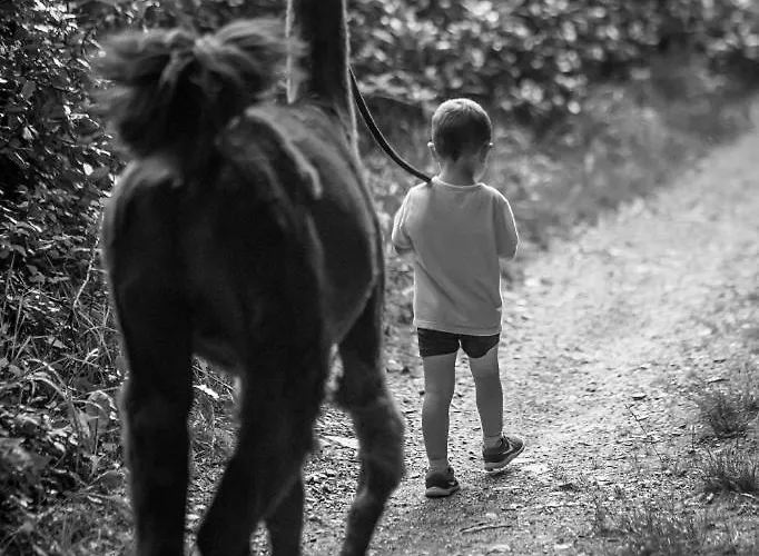 Bed and Breakfast La Ferme Des Andes Quins