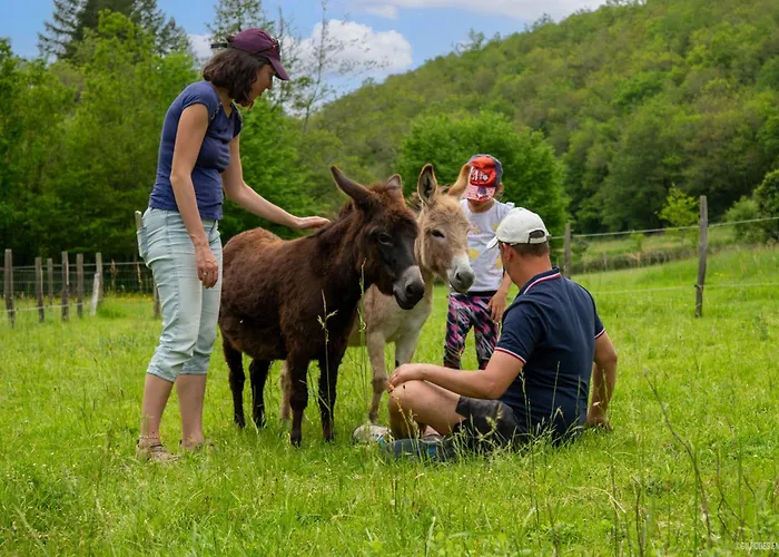 La Ferme Des Andes Quins