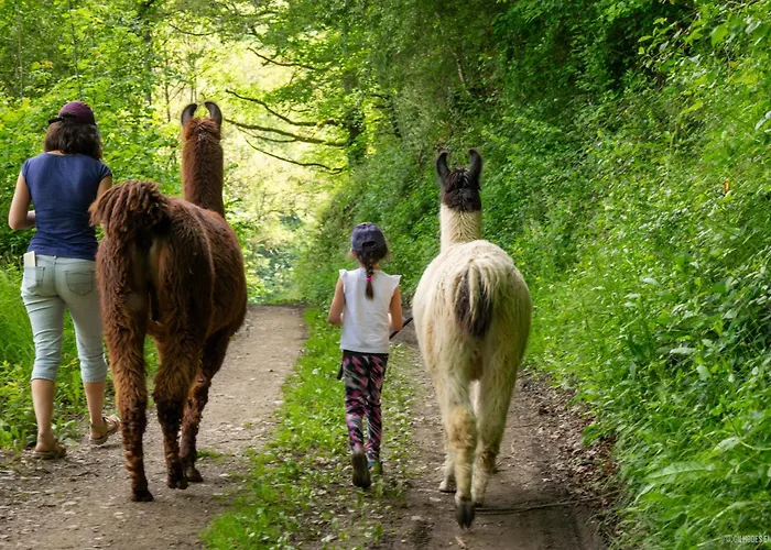 La Ferme Des Andes Bed and Breakfast