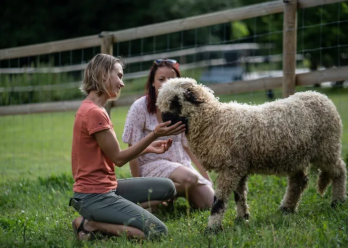 La Ferme Des Andes Quins