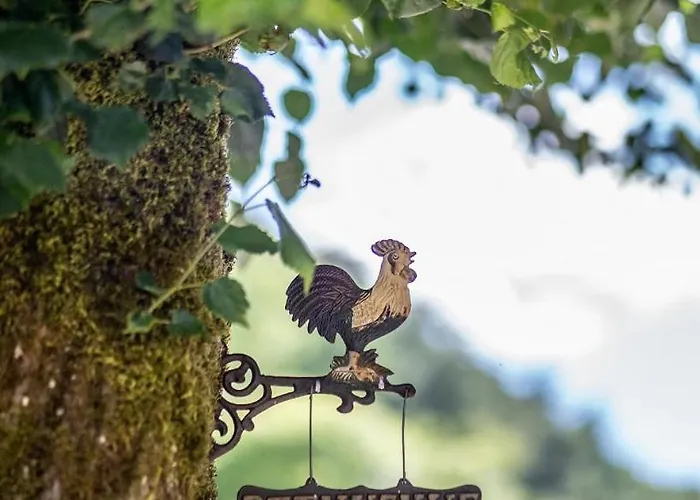 La Ferme Des Andes Bed and Breakfast