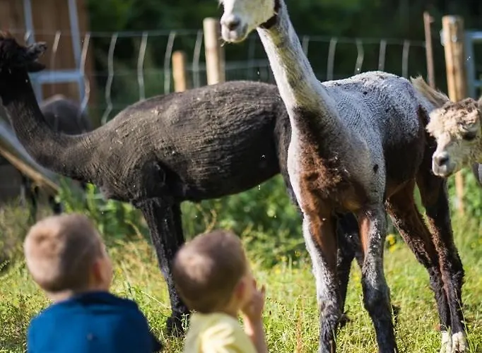 La Ferme Des Andes Bed and Breakfast Quins