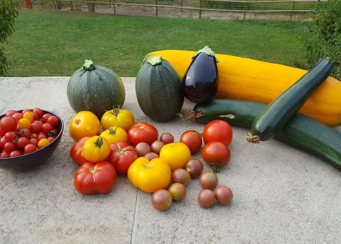 La Ferme Des Andes Quins