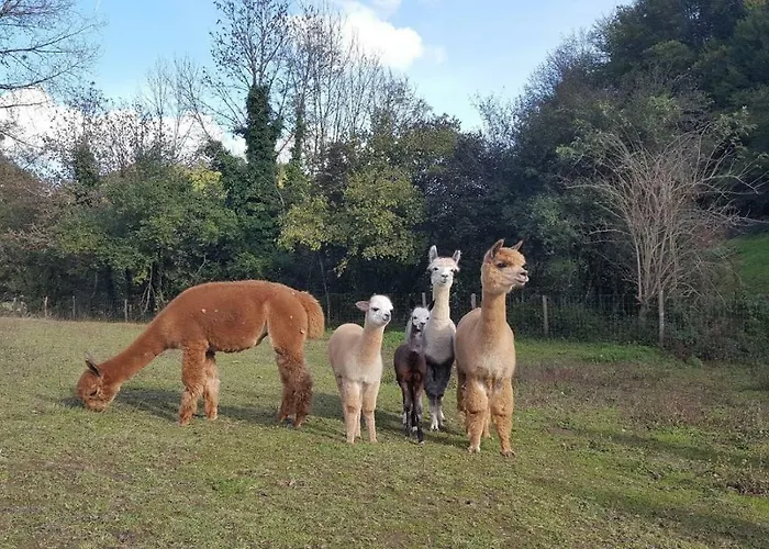 La Ferme Des Andes 3* Quins