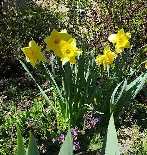 La Ferme Des Andes Bed and Breakfast 3*