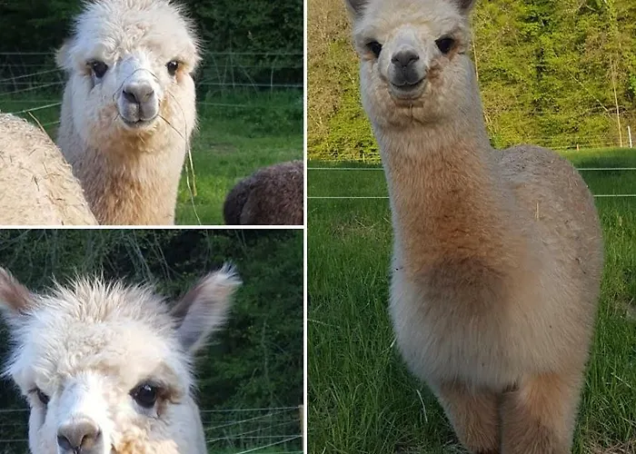 La Ferme Des Andes 3*