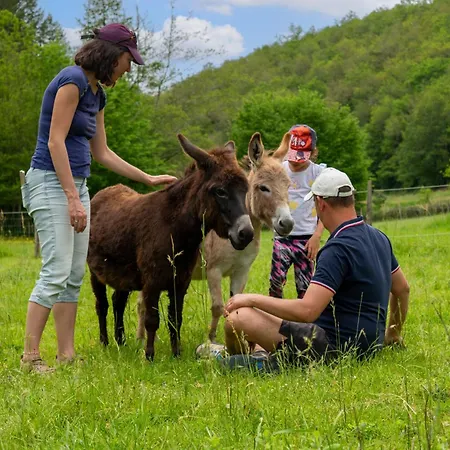 La Ferme Des Andes Quins