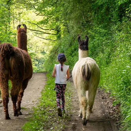 La Ferme Des Andes Bed & Breakfast