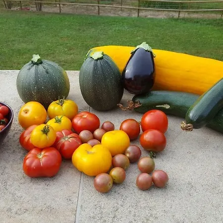 La Ferme Des Andes Quins