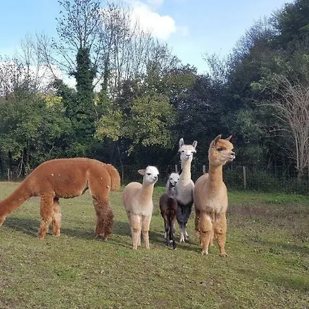 La Ferme Des Andes 3* Quins