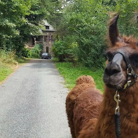 La Ferme Des Andes Bed & Breakfast