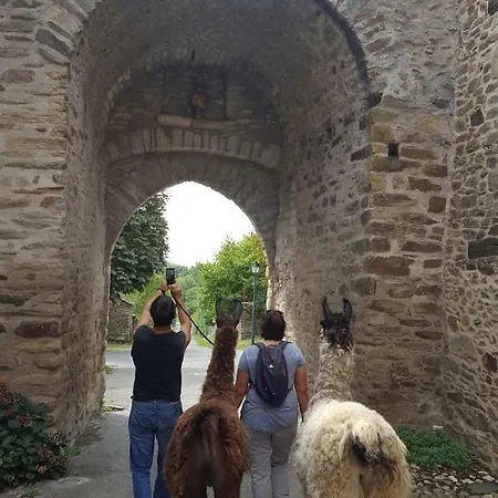 La Ferme Des Andes Bed & Breakfast