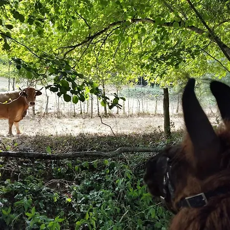 La Ferme Des Andes Quins