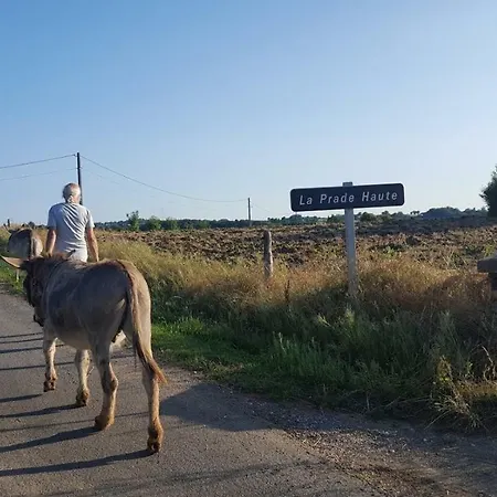 La Ferme Des Andes * Quins